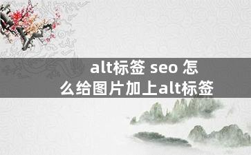 alt标签 seo 怎么给图片加上alt标签